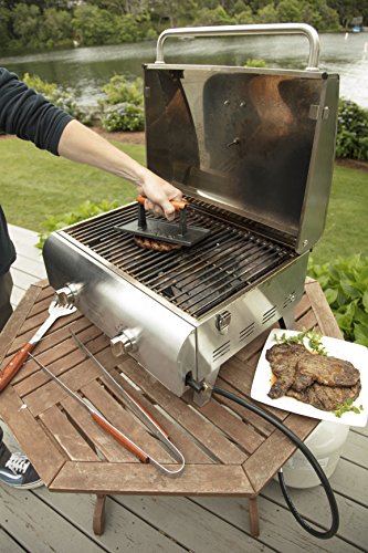 Cuisinart CGPR-221 Cast Iron Grill Press (Wood Handle), Weighs 2.8-pounds
