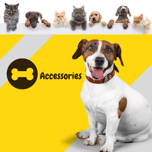 Best High Quality Luxury Pet Accessories Store
