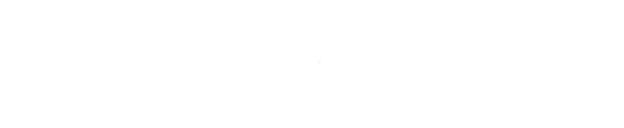 New World: Standard Edition