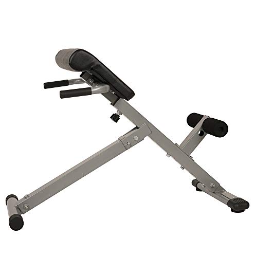 Sunny Health & Fitness SF-BH6629 45 Degree Hyperextension Roman Chair