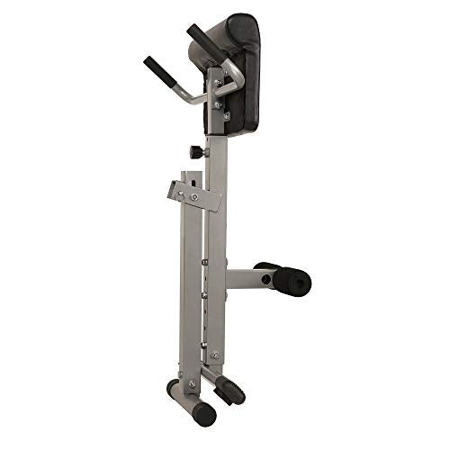 Sunny Health & Fitness SF-BH6629 45 Degree Hyperextension Roman Chair