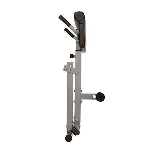 Sunny Health & Fitness SF-BH6629 45 Degree Hyperextension Roman Chair
