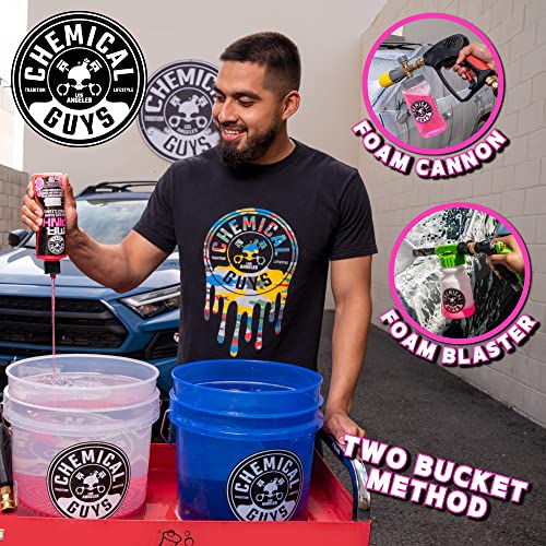 Chemical Guys CWS_402_16 Mr. Pink Foaming Car Wash Soap (Works with Foam Cannons, Foam Guns or Bucket Washes) Safe for Cars, Trucks, Motorcycles, RVs & More, 16 fl oz, Candy Scent