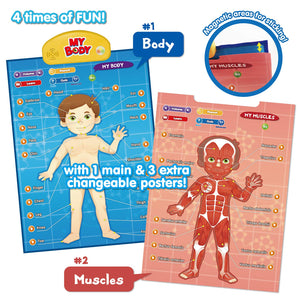 BEST LEARNING i-Poster My Body - Interactive Educational Human Anatomy Talking Game Toy System Poster to Learn Body Parts, Organs, Muscles and Bones for Kids Aged 5 to 12 Years Old