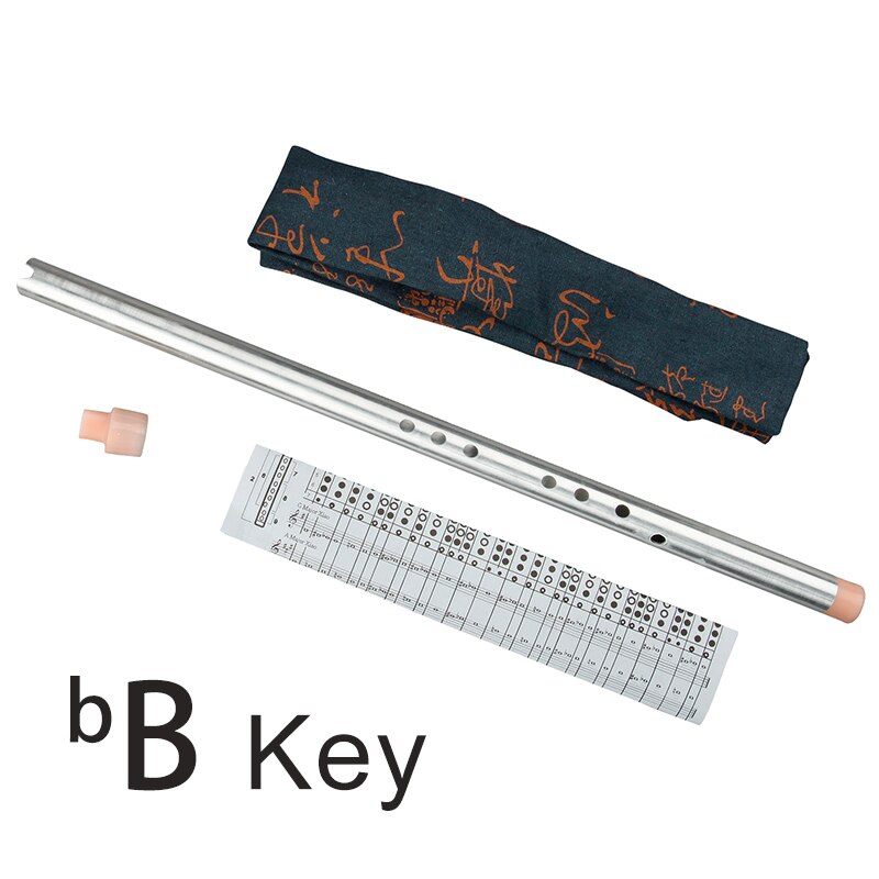 Classical Vertical Flute Aluminum Alloy Metal XIAO Mouth Piece Inclued Musical Instrument Professional  Flute for Beginner