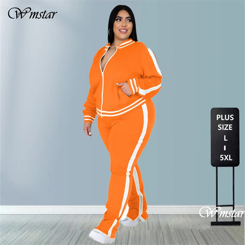 Plus Size L-5XL Two Piece Set Women Sweatsuit Zip Striped Top Slit Sweatpants Jogger Outfit Matching Set Wholesale Dropshipping