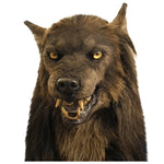 Werewolf Headwear Costume Mask Headwear Costume Mask Wolf Mask Adults Halloween Party Full Face Cover Scary Mask