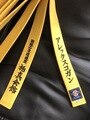 new arrival kyokushin karate kyokushinkai Kata karate belts  Japan Tokyodo belts could embroidered name and words