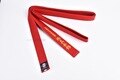 new arrival kyokushin karate kyokushinkai Kata karate belts  Japan Tokyodo belts could embroidered name and words