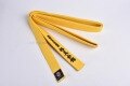 new arrival kyokushin karate kyokushinkai Kata karate belts  Japan Tokyodo belts could embroidered name and words